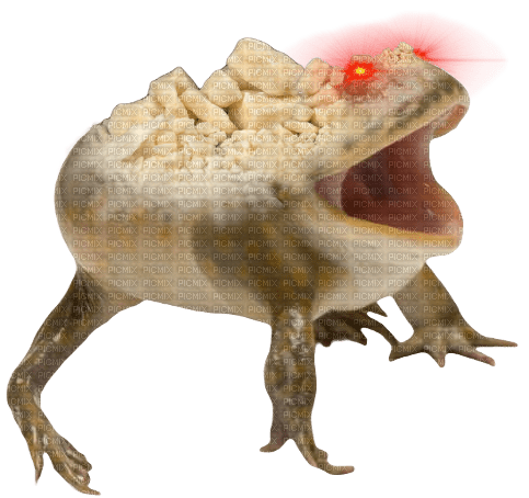 sugar fiend frog - png grátis