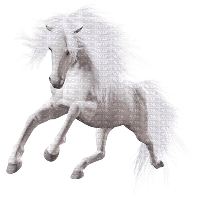 Kaz_Creations Animals Horse - PNG gratuit