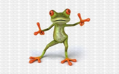 frog - ilmainen png