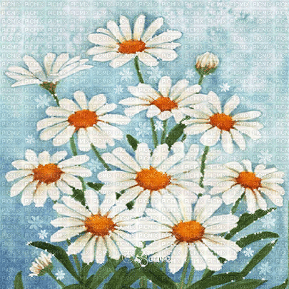 soave background animated vintage daisy - Ingyenes animált GIF