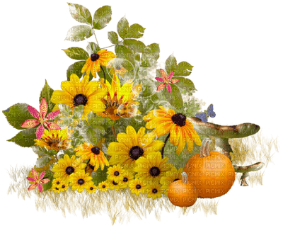 fond autumn automne fleur - PNG gratuit