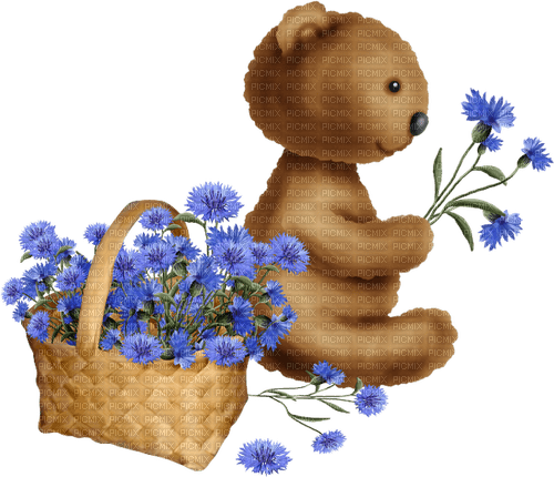 dolceluna bear brown spring flowers - фрее пнг