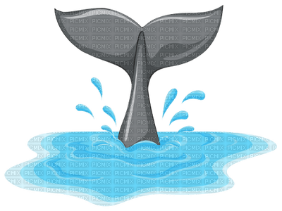 whale tail - δωρεάν png