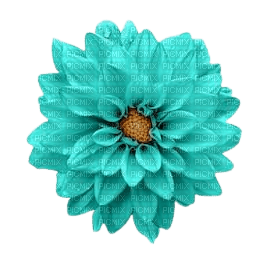 fleur dalhia turquoise - png gratuito