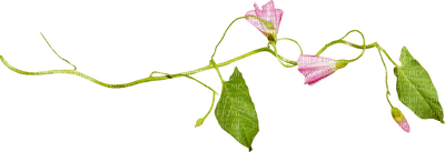 leaf-flower-bransh-minou52 - Free PNG