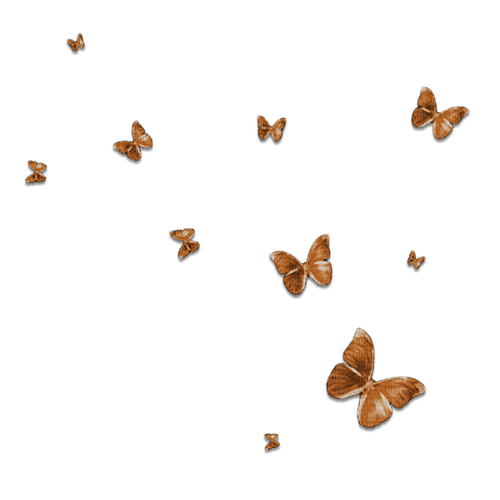 Butterflies Brown