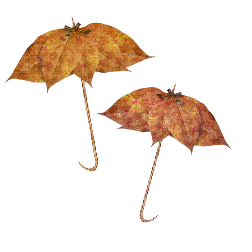 autumn fall umbrella regenschirm parapluie - besplatni png