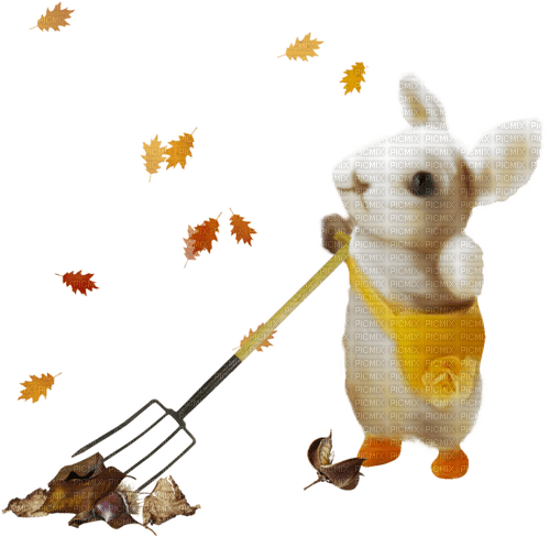 Autumn Fall Bunny Rabbit - безплатен png