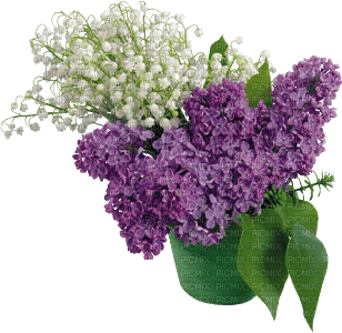 minou-flowers-purple - Free PNG