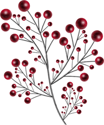 hiver _branche _ noël_Winter christmas branch - Free PNG