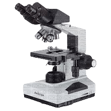 mikroskop - png gratuito