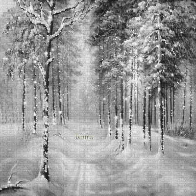 Y.A.M._Winter New year background black-white - GIF animado gratis
