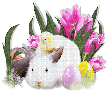 soave deco easter bunny flowers eggs pink - PNG gratuit