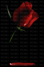 bloody rose - Besplatni animirani GIF