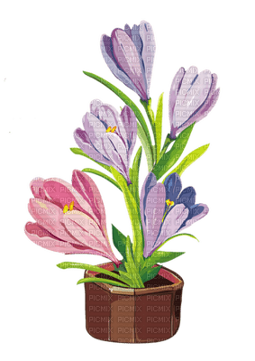 Kaz_Creations Flowers Flower Bucket Plant - PNG gratuit