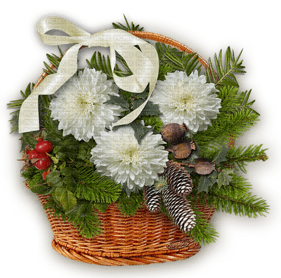 fleurs decoration - ücretsiz png