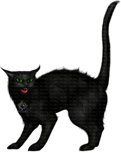 Cat.Black - gratis png