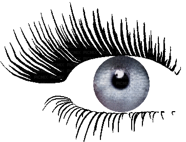 yeux - 免费动画 GIF