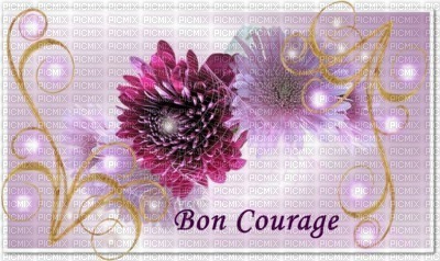 Bon Courage Fleur - 免费PNG