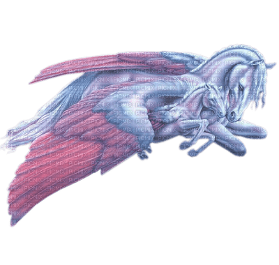 Pegasus laurachan - png gratis