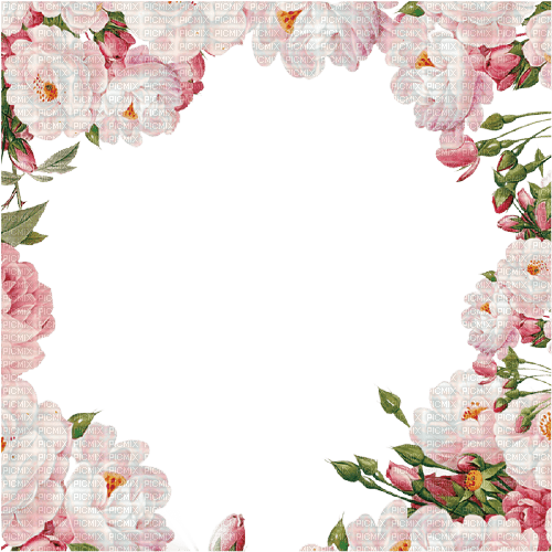 flowers frame - nemokama png