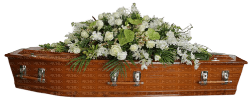 Kaz_Creations  Flowers-Coffin - zdarma png
