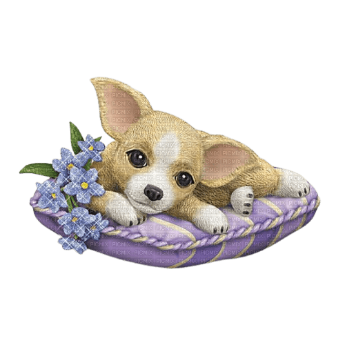 puppy - zdarma png