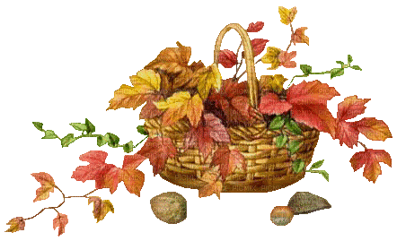 Herbst, Korb, Autumn - Gratis geanimeerde GIF