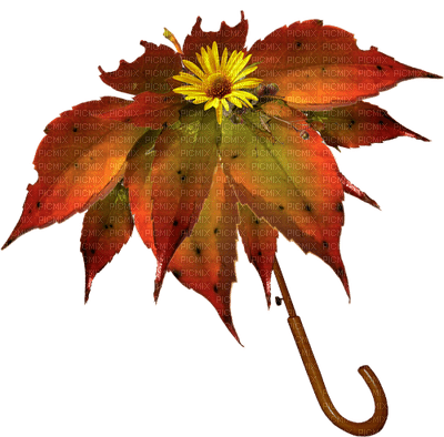 Kaz_Creations Deco Flowers Flower Colours Umbrella Parasol - PNG gratuit