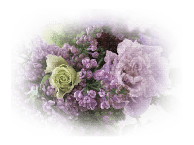 fleurs/flowers - PNG gratuit