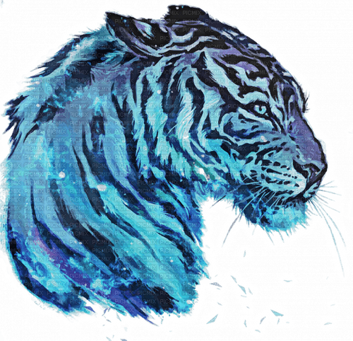 tiger - 免费PNG