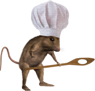 mouse - png grátis