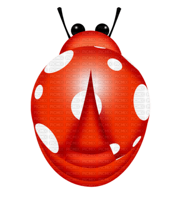 Kaz_Creations Ladybugs Ladybug - png gratis