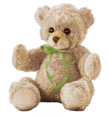 stuffed bear - gratis png
