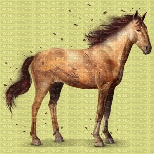 cheval Pluton - бесплатно png