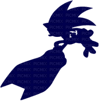 Sonic Riders Silhouette - png ฟรี