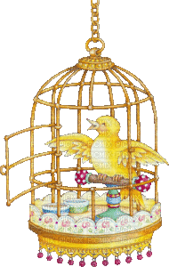 birdcage bp - Безплатен анимиран GIF