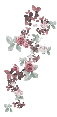 soave deco branch animated flowers  pink green - GIF animé gratuit
