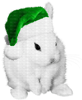 soave christmas winter bunny animals deco - δωρεάν png