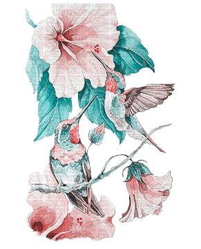 soave deco bird flowers hummingbird teal pink - Free PNG