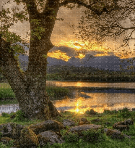 Rena Landschaft Hintergrund Sun - Free PNG