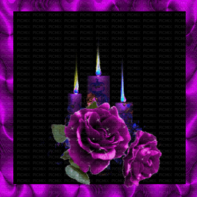 Flowers purple bp - GIF animado grátis