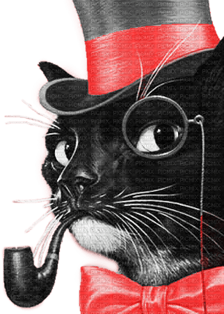 soave cat animals vintage deco black white red - 免费PNG