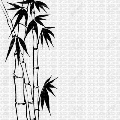 chantalmi bambou  noir - kostenlos png