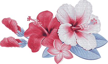 soave  summer deco flowers branch tropical - PNG gratuit