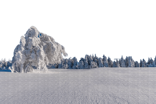 winter landscape paysage forest snow - 無料png