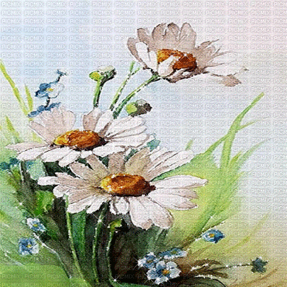 springtimes flowers spring summer background - Darmowy animowany GIF