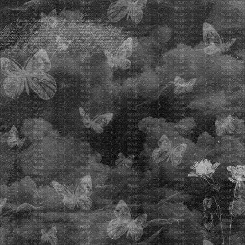 Black and White Texture Background [Basilslament] - png ฟรี