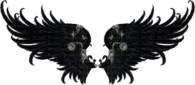 ailes -c - 無料のアニメーション GIF