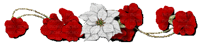 Flower Border - Gratis geanimeerde GIF
